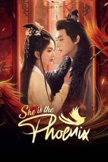 หงส์คืนฟ้า [บรรยายไทย] 1-28จบ